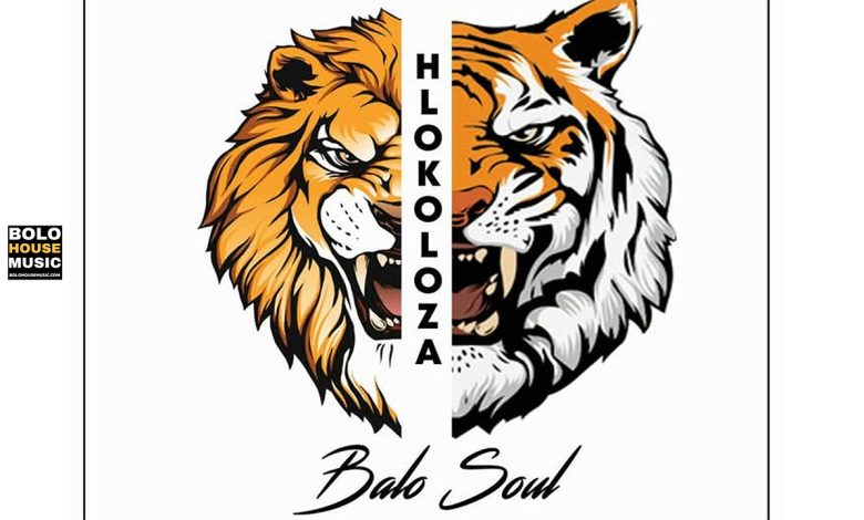 Hlokoloza